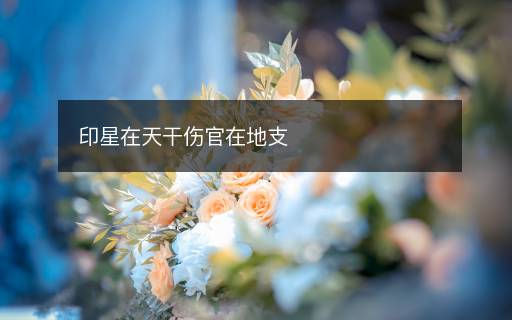 印星在天干傷官在地支