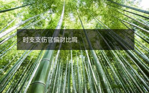 時支支傷官偏財比肩