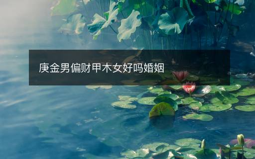 庚金男偏財甲木女好嗎婚姻