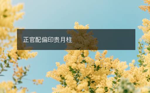 正官配偏印貴月柱