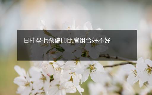 日柱坐七殺偏印比肩組合好不好