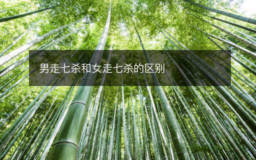 男走七殺和女走七殺的區(qū)別