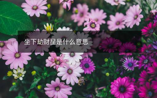 坐下劫財(cái)星是什么意思