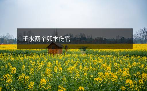 壬水兩個卯木傷官