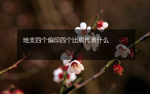 地支四個(gè)偏印四個(gè)比肩代表什么