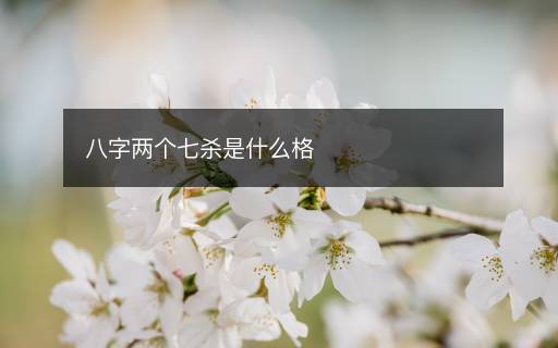 八字兩個(gè)七殺是什么格