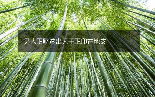 男人正財(cái)透出天干正印在地支