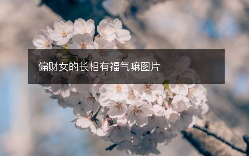 偏財女的長相有福氣嘛圖片