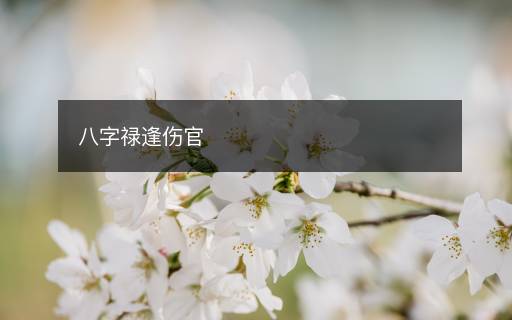 八字祿逢傷官