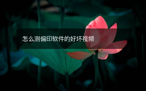 怎么測偏印軟件的好壞視頻