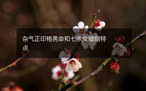 雜氣正印格男命和七殺女婚姻特點(diǎn)
