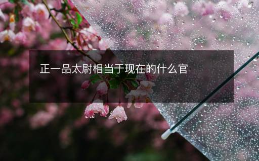 正一品太尉相當(dāng)于現(xiàn)在的什么官