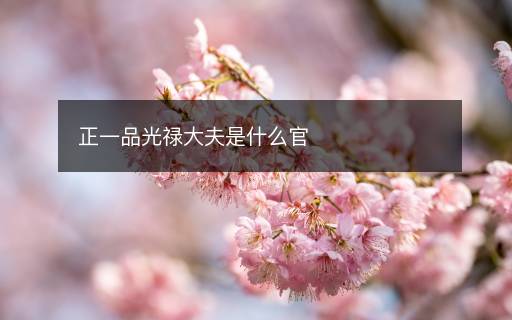 正一品光祿大夫是什么官