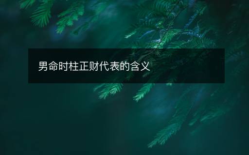 男命時(shí)柱正財(cái)代表的含義
