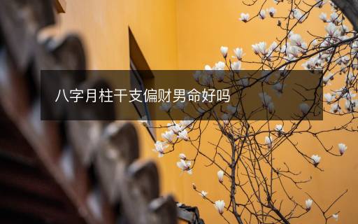 八字月柱干支偏財男命好嗎
