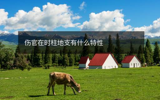 傷官在時(shí)柱地支有什么特性