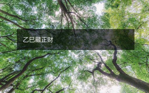 乙巳藏正財
