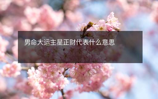 男命大運(yùn)主星正財(cái)代表什么意思