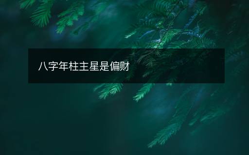 八字年柱主星是偏財(cái)