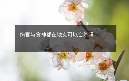 傷官與食神都在地支可以合殺嗎