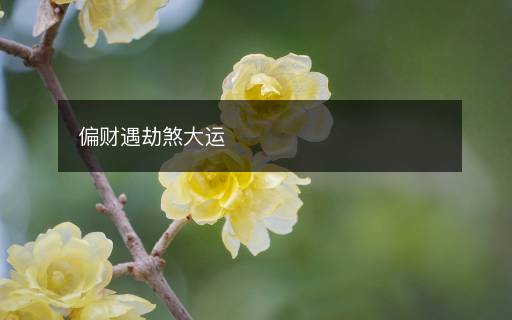 偏財(cái)遇劫煞大運(yùn)