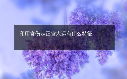印用食傷走正官大運(yùn)有什么特征