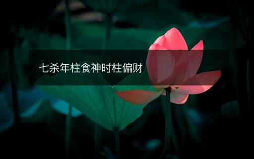 七殺年柱食神時柱偏財