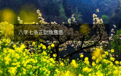 八字七殺正財啥意思