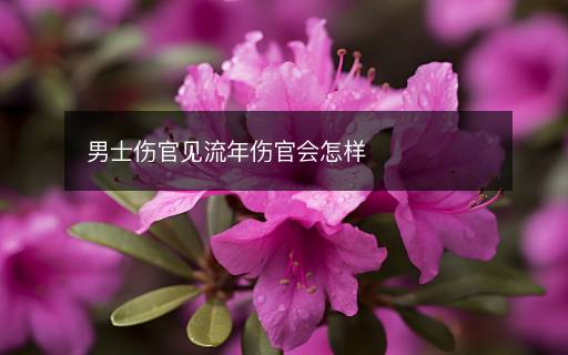 男士傷官見流年傷官會怎樣