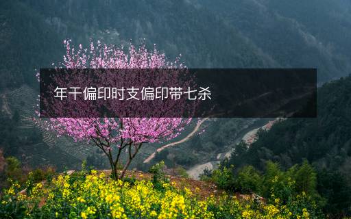 年干偏印時(shí)支偏印帶七殺