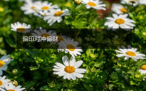 偏印對沖偏財(cái)