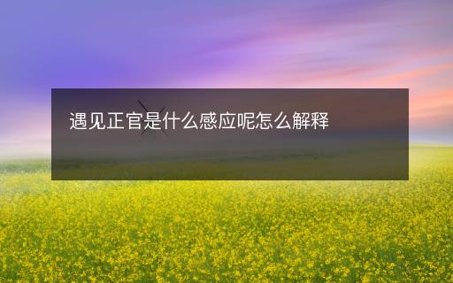 遇見正官是什么感應(yīng)呢怎么解釋