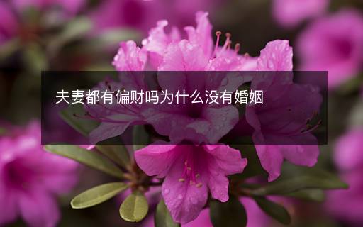 夫妻都有偏財(cái)嗎為什么沒(méi)有婚姻
