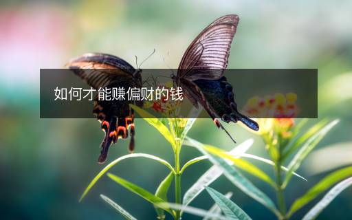 如何才能賺偏財(cái)?shù)腻X(qián)
