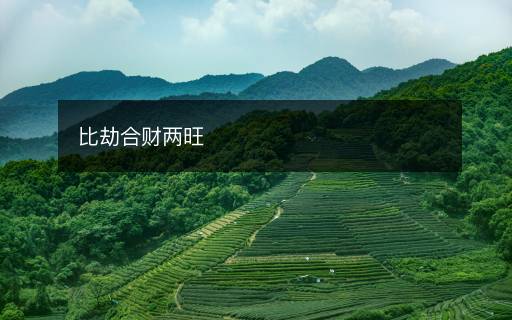 比劫合財兩旺
