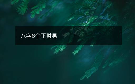 八字6個(gè)正財(cái)男