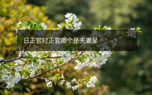 日正官時正官哪個是夫妻星