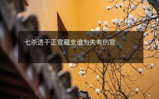 七殺透干正官藏支誰(shuí)為夫有傷官