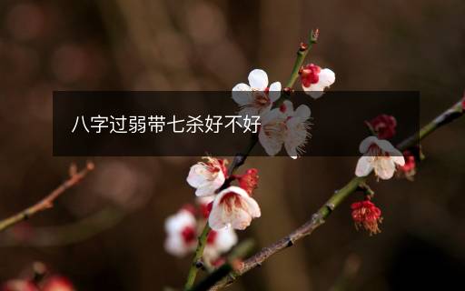 八字過弱帶七殺好不好