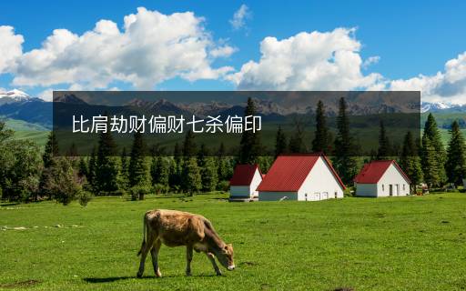 比肩劫財(cái)偏財(cái)七殺偏印
