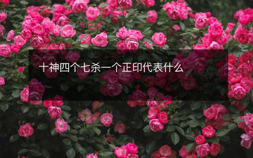 十神四個(gè)七殺一個(gè)正印代表什么