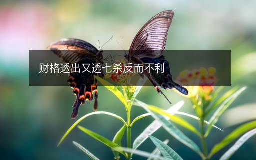財(cái)格透出又透七殺反而不利