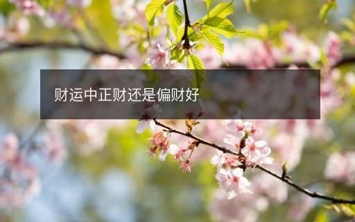 財運中正財還是偏財好