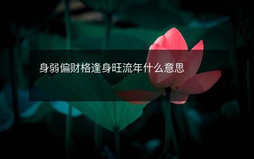 身弱偏財(cái)格逢身旺流年什么意思