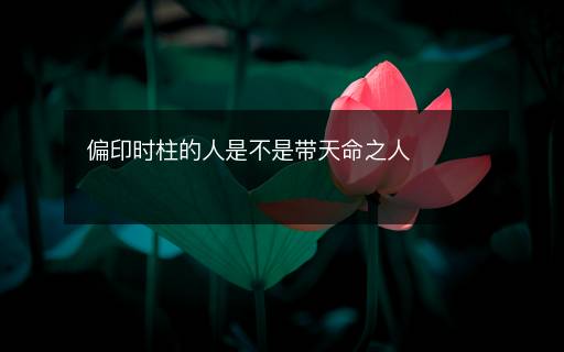 偏印時柱的人是不是帶天命之人