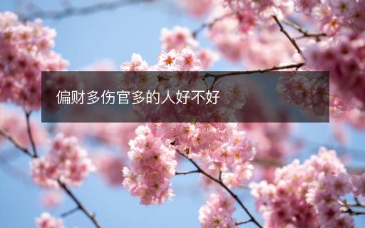 偏財多傷官多的人好不好