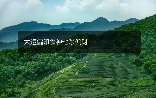 大運偏印食神七殺偏財