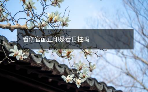 看傷官配正印是看日柱嗎