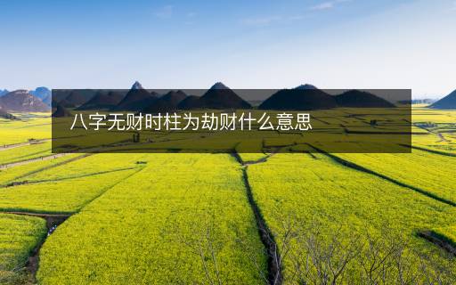 八字無財(cái)時柱為劫財(cái)什么意思