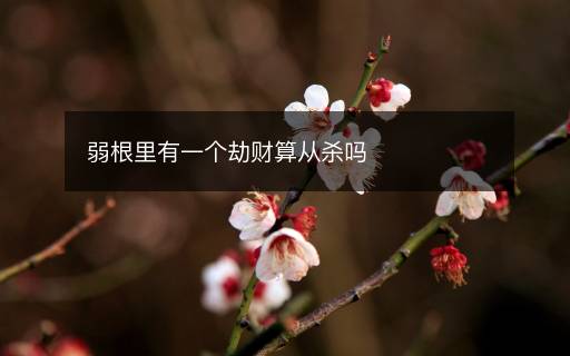 弱根里有一個劫財算從殺嗎